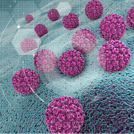 Human papillomavirus infection. Virus. HPV is the most common sexually transmitted infection globally. HPV infection is caused by human papillomavirus, a DNA virus from the papillomavirus family, 3dの写真素材
