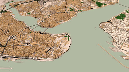 Satellite view of Istanbul. Map streets and buildings. 3d rendering. View of the Bosphorus Strait, center of the city. Turkeyの写真素材
