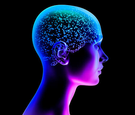 Neurology, philosophy: connections, the development of thought and reflection, the infinite possibilities of the brain and mind. Human anatomy. Digital reality, artificial consciousness. 3d renderingの写真素材