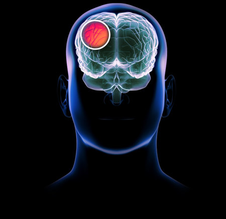How the brain works. Synapses and neurons. Connections. Take care of your brain, stimuli and ideas. Degenerative diseases, Parkinson's and Alzheimer's. 3d renderingの写真素材