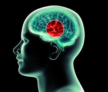 How the brain works. Synapses and neurons. Connections. Take care of your brain, stimuli and ideas. Degenerative diseases, Parkinson's and Alzheimer's. 3d renderingの写真素材
