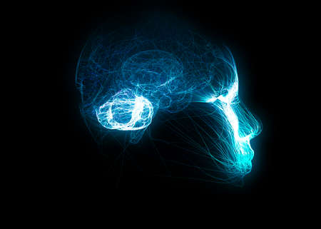 Neurology, philosophy: connections, the development of thought and reflection, the infinite possibilities of the brain and mind. Human anatomy. Digital reality, artificial consciousnessの写真素材