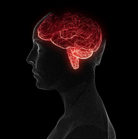 Neurology, philosophy: connections, the development of thought and reflection, the infinite...