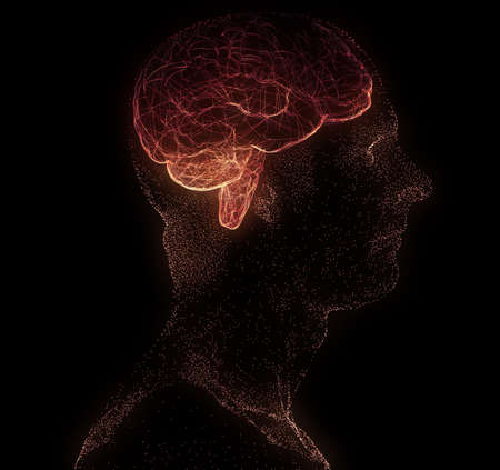 Neurology, philosophy: connections, the development of thought and reflection, the infinite...
