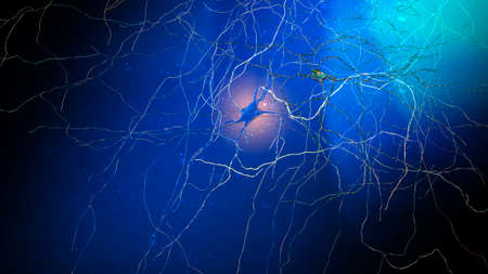 Microscopic view of the synapses. Brain connections. Neurons and synapses. Communication and...