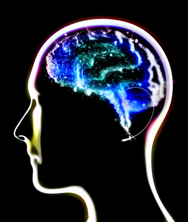 Section of a brain seen in profile, parts of the brain. Degenerative diseases, Parkinson, synapses,...