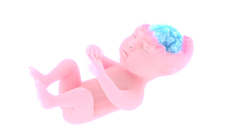 Child, fetus, organ formation. Cloud effect brain. Sensory expansion learning. Mother's womb, birth....