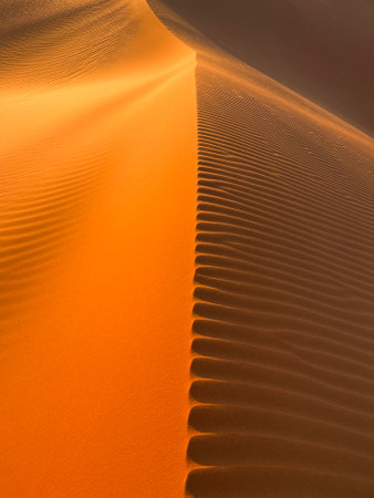 Dunes in the Sahara desert, Merzouga desert, grains of sand forming small waves on the dunes,...