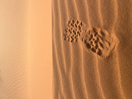 Shoe prints on a sand dune in the Sahara Desert, Merzouga. Grains of sand forming small waves on the dunes. Setting sun. Moroccoの写真素材