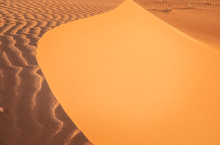 Dunes in the Sahara desert, Merzouga desert, grains of sand forming small waves on the dunes, panoramic view. Setting sun. Moroccoの写真素材