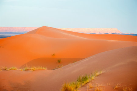 Dunes in the Sahara desert, Merzouga desert, grains of sand forming small waves on the dunes, panoramic view. Setting sun. Moroccoの写真素材