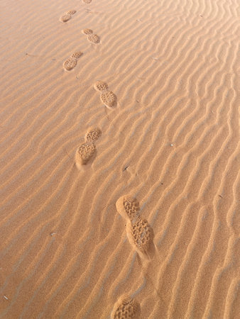 Shoe prints on a sand dune in the Sahara Desert, Merzouga. Grains of sand forming small waves on the dunes. Setting sun. Moroccoの写真素材