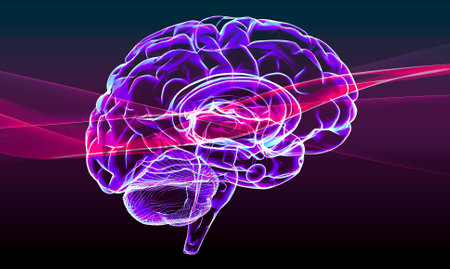 Section of a brain seen in profile, parts of the brain. Degenerative diseases, Parkinson, synapses, neurons, Alzheimerâs. Human anatomy, brain scan. 3d renderの写真素材