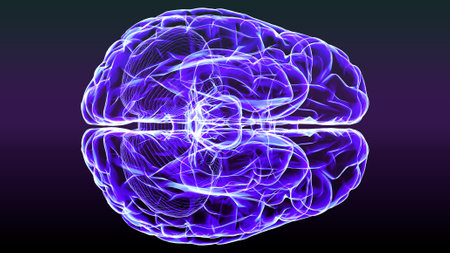 Section of a brain seen in profile, parts of the brain. Degenerative diseases, Parkinson, synapses, neurons, Alzheimerâs. Human anatomy, brain scan. 3d renderの写真素材