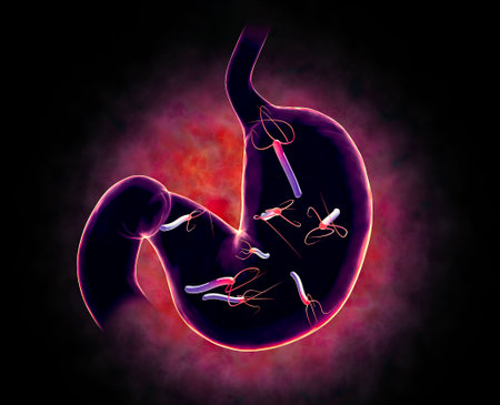 Helicobacter pylori is a gram-negative, flagellated, helical bacterium. It is capable of colonizing the stomach mucosa. 3d renderingの写真素材