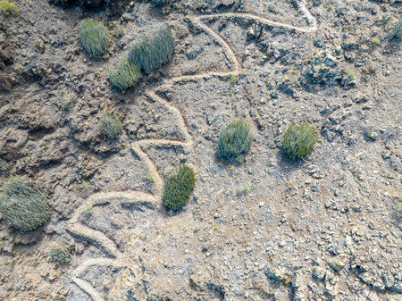 Aerial view of the trail through the mountains to Guigui beach, pristine black sand beach, Gran Canaria. Spain. Scenic trailの写真素材