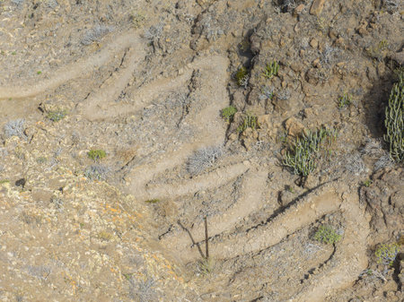 Aerial view of the trail through the mountains to Guigui beach, pristine black sand beach, Gran Canaria. Spain. Scenic trailの写真素材
