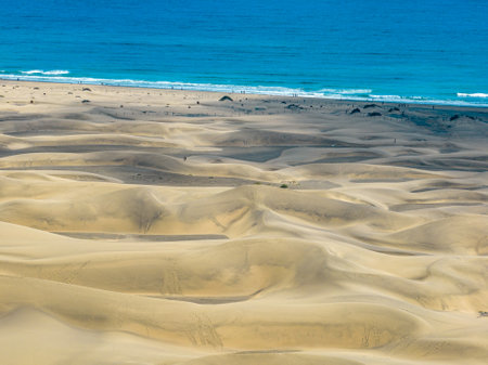 Aerial view of Maspalomas beach and dunes, sunbathers enjoying themselves, Gran Canaria, Spain.の写真素材