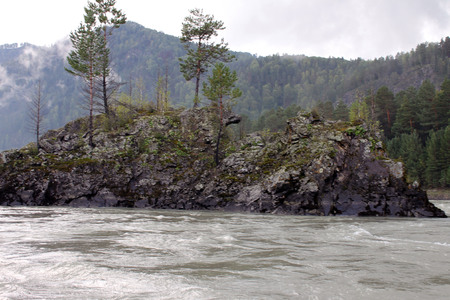 nesseの写真素材