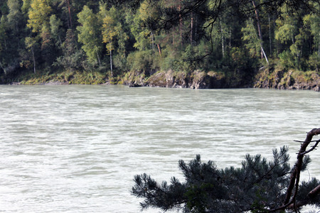 nesseの写真素材