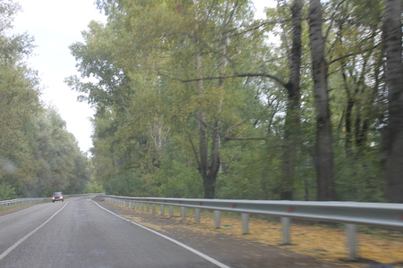 nesseの写真素材