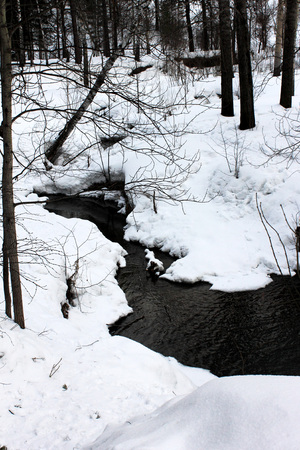 March creekの写真素材