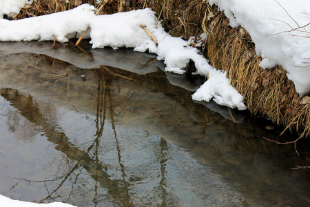 Spring Creekの写真素材