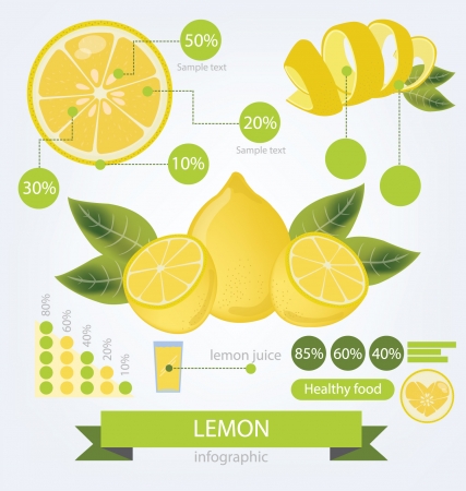 Lemon  info graphics  fruits illustration のイラスト素材