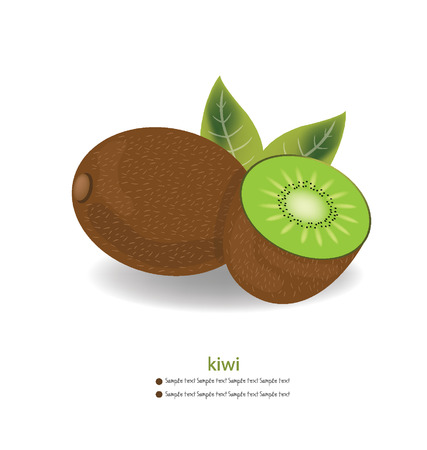 Kiwi vector illustrationのイラスト素材