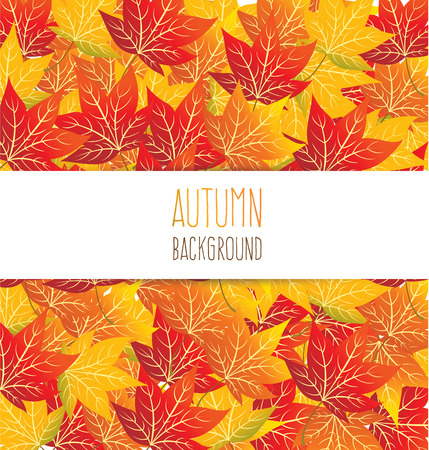 maple autumn leavesのイラスト素材