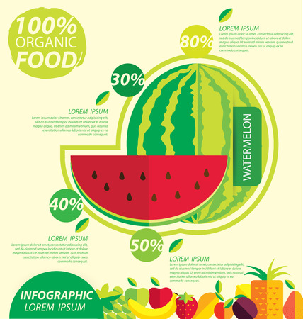 watermelon, infographics. fruits vector illustration.のイラスト素材