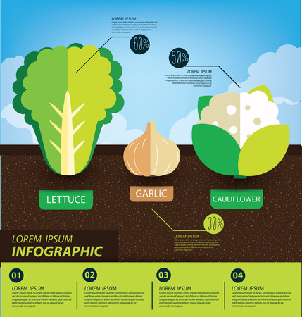 vegetables infographics vector illustrationのイラスト素材
