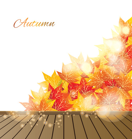 maple autumn leavesのイラスト素材