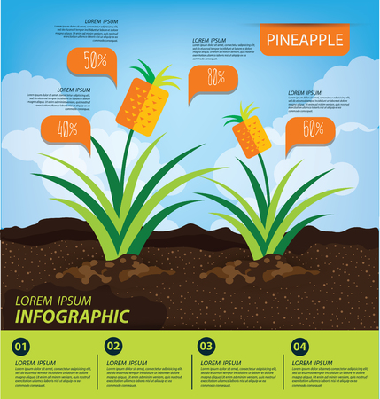 pineapple, infographics. fruits illustration.のイラスト素材