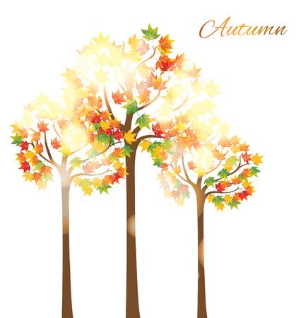 autumn tree vectorのイラスト素材