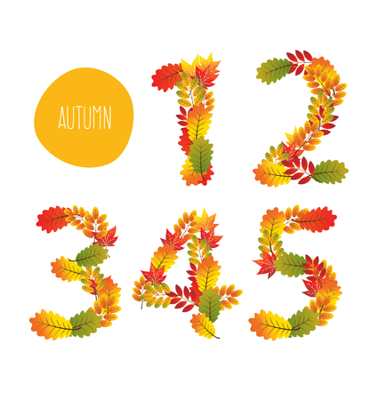 Numbers of autumn leaves collection.のイラスト素材