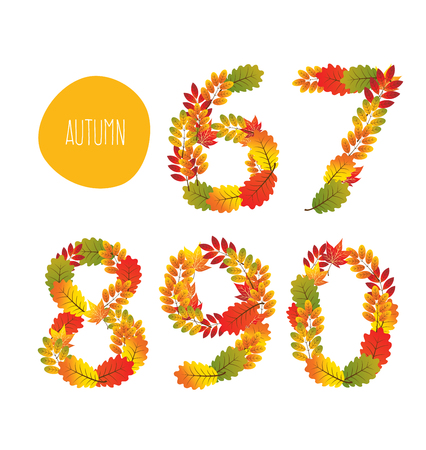 Numbers of autumn leaves collection.のイラスト素材