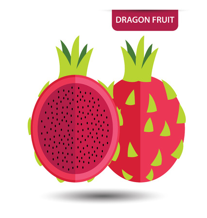 Dragon fruit vector illustrationのイラスト素材