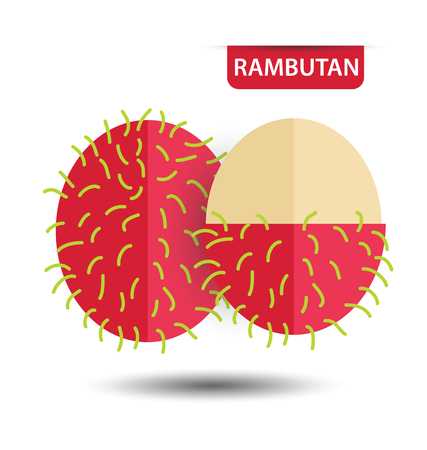 Rambutan, fruit vector illustrationのイラスト素材
