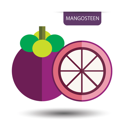 Mangosteen, fruit vector illustrationのイラスト素材