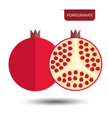 pomegranate, fruit vector illustrationのイラスト素材