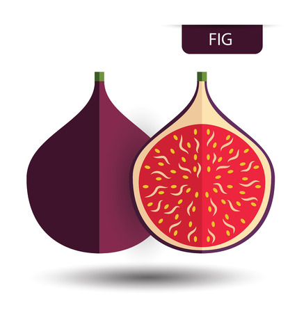 Figs fruits, fruit vector illustrationのイラスト素材