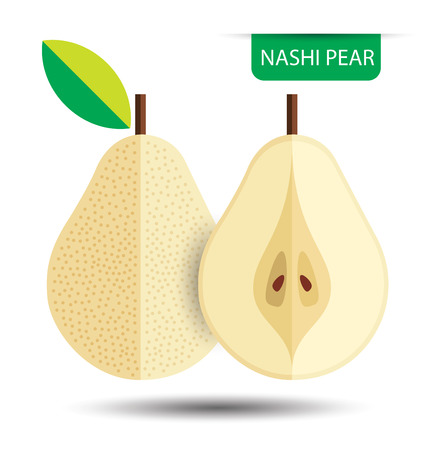 Nashi pear, fruit vector illustrationのイラスト素材