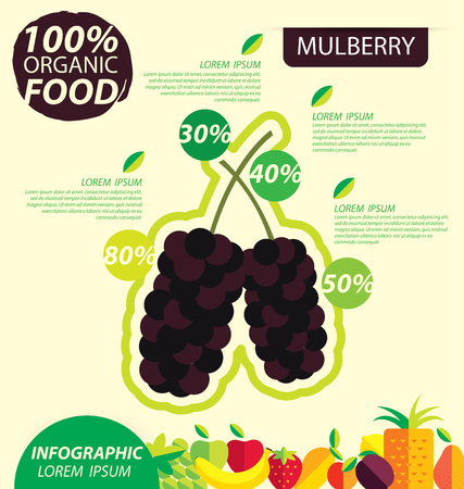 Mulberry. Infographic template. vector illustration.のイラスト素材