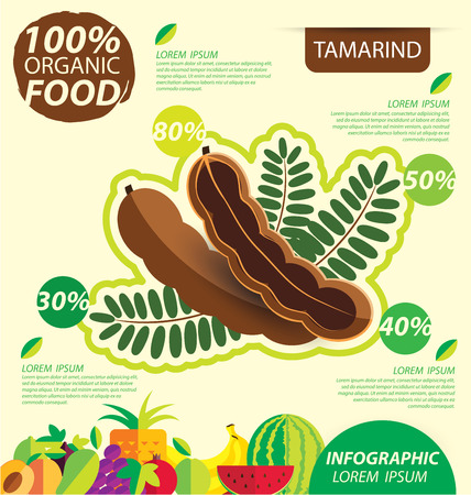 Tamarind. Infographic template. vector illustration.のイラスト素材