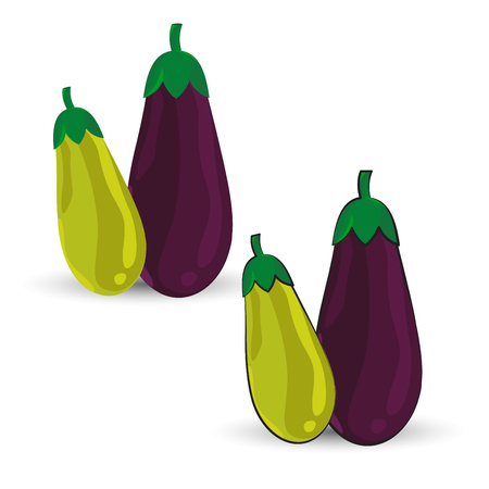 eggplant ,vegetables vector illustrationのイラスト素材