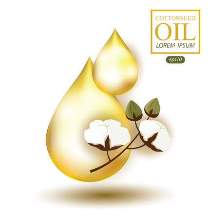 Oil drop. Cottonseed oil. Vector illustration.のイラスト素材