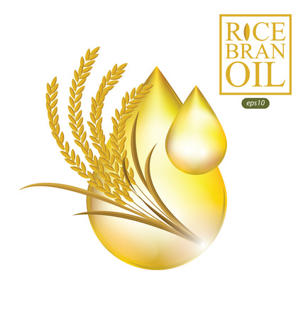 Rice bran oil. Vector illustration.のイラスト素材