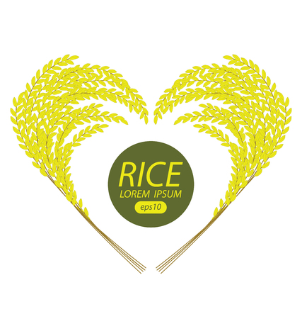 Rice. Vector illustration.のイラスト素材