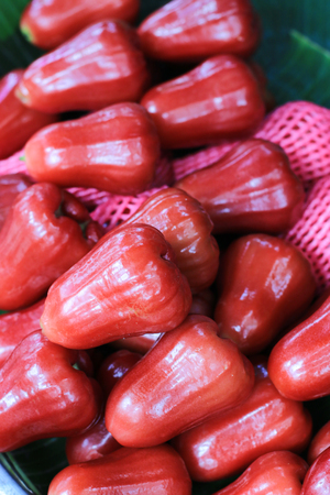 Red rose apple for sell in marketの写真素材